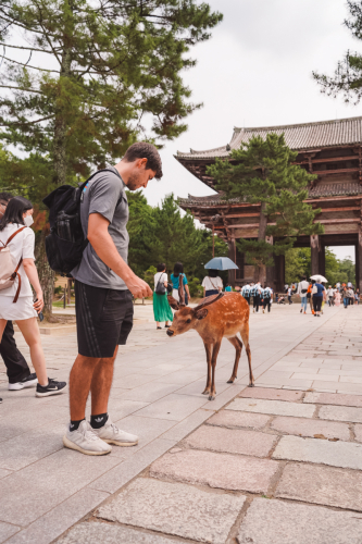 20230624-135749-nara-DSC02774