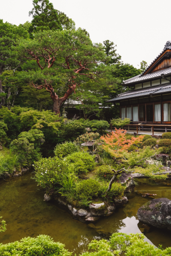 20230624-141006-nara-DSC02792