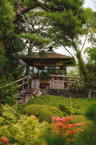 20230624-141200-nara-DSC02802
