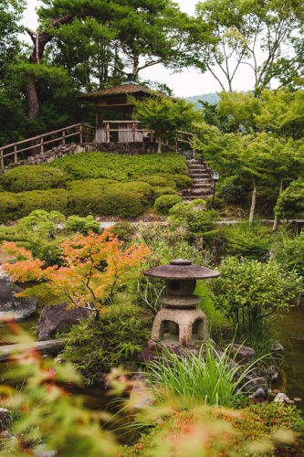 20230624-141219-nara-DSC02804