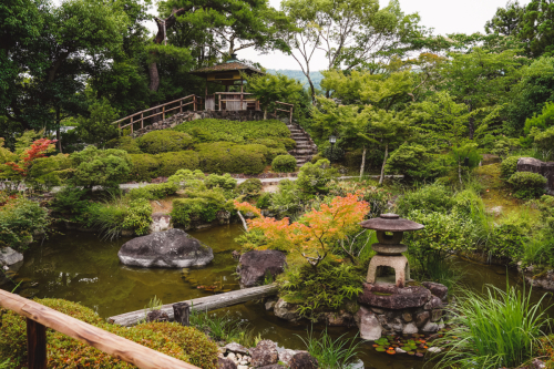 20230624-141305-nara-DSC02806