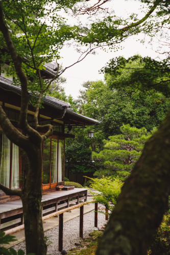 20230624-141501-nara-DSC02814