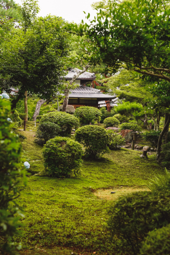 20230624-141859-nara-DSC02822