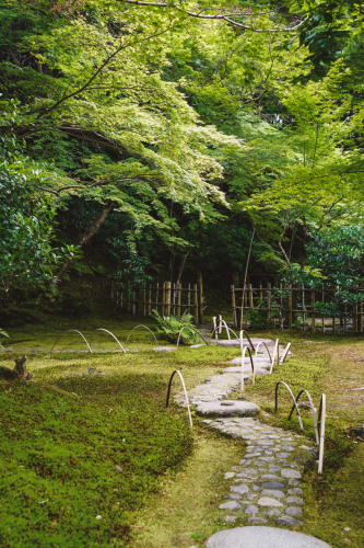 20230624-141956-nara-DSC02825