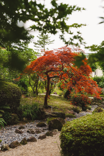 20230624-142229-nara-DSC02832