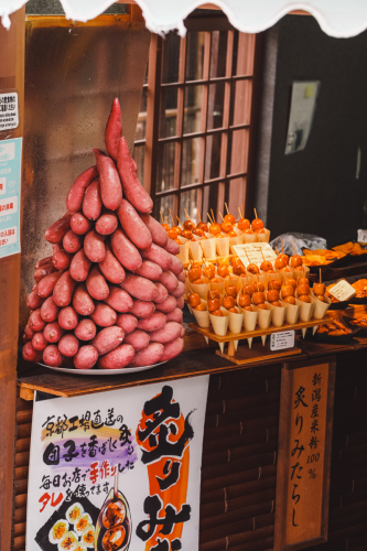 20230627-104319-kyoto-DSC03085