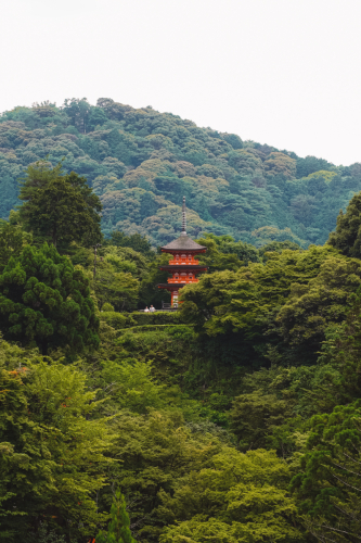 20230627-120008-kyoto-DSC03170