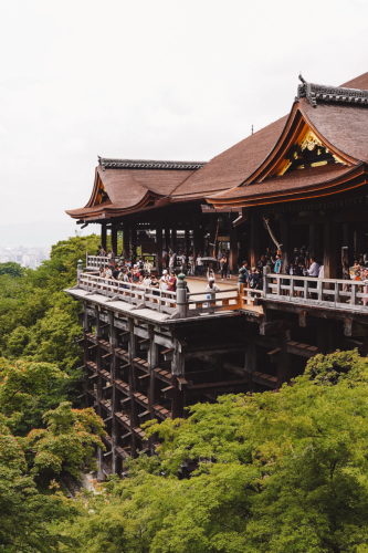 20230627-120511-kyoto-DSC03186