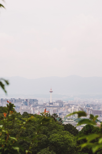20230627-120716-kyoto-DSC03188