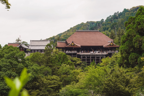 20230627-123002-kyoto-DSC03209