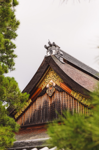 20230628-103557-kyoto-DSC03263