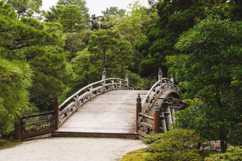 20230628-103954-kyoto-DSC03274