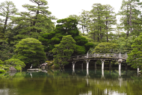 20230628-104059-kyoto-DSC03277