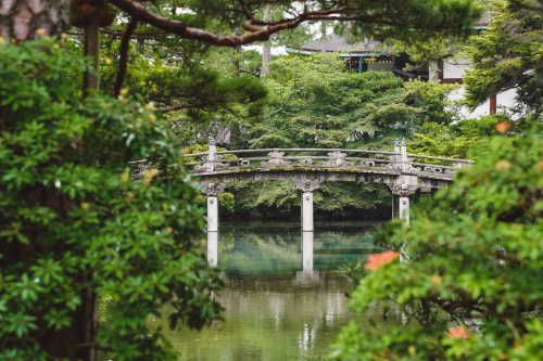 20230628-104236-kyoto-DSC03288