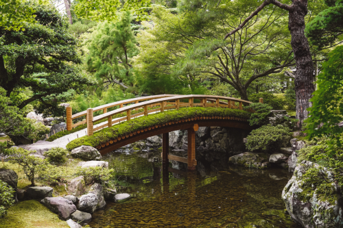 20230628-104333-kyoto-DSC03289