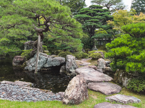 20230628-104435-kyoto-IMG_4854