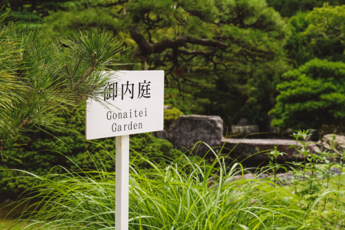 20230628-104609-kyoto-DSC03304