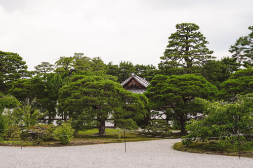 20230628-105018-kyoto-DSC03319