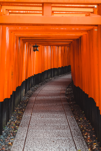 20230629-070001-inari-DSC03357