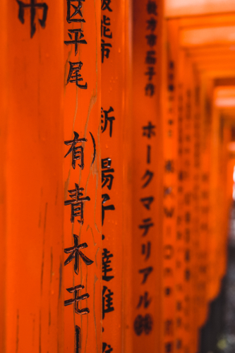 20230629-070108-inari-DSC03358