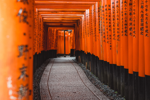 20230629-070335-inari-DSC03370