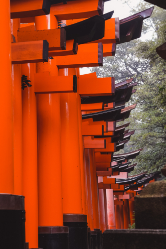 20230629-070938-inari-DSC03404