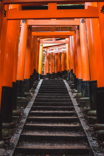 20230629-071719-inari-DSC03460
