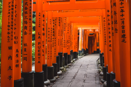 20230629-071842-inari-DSC03462