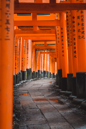 20230629-072024-inari-DSC03471