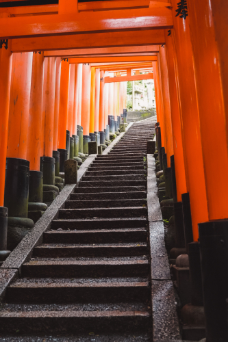 20230629-072609-inari-DSC03483