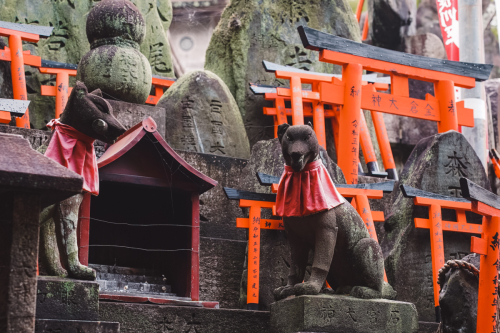 20230629-073724-inari-DSC03525