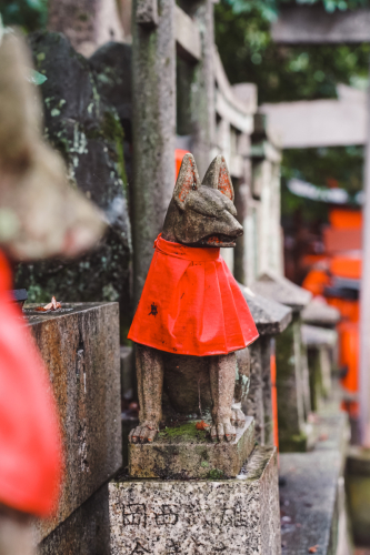 20230629-073826-inari-DSC03528