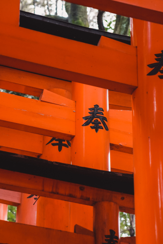 20230629-074108-inari-DSC03531