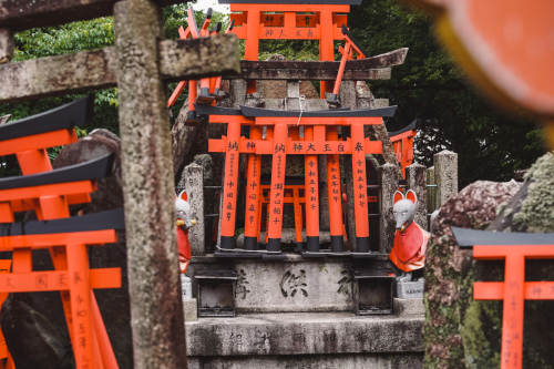 20230629-074721-inari-DSC03547