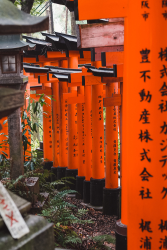 20230629-075044-inari-DSC03551