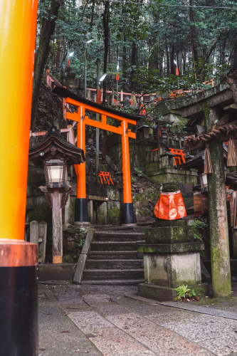20230629-075821-inari-DSC03594