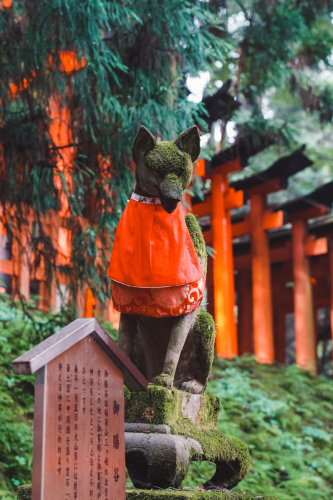 20230629-080436-inari-DSC03602