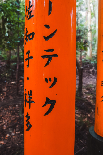 20230629-081057-inari-DSC03636