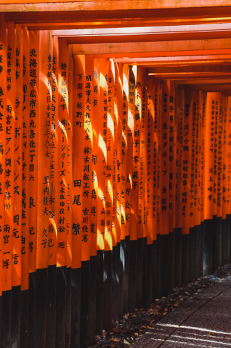 20230629-084415-inari-DSC03687