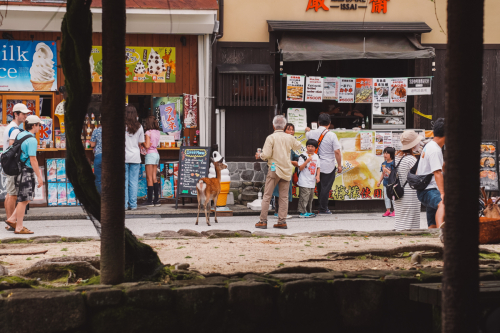 20230702-114429-hiroshima-DSC03887
