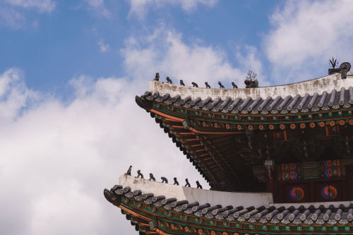 20230705-115632-changdeokgung-DSC03979