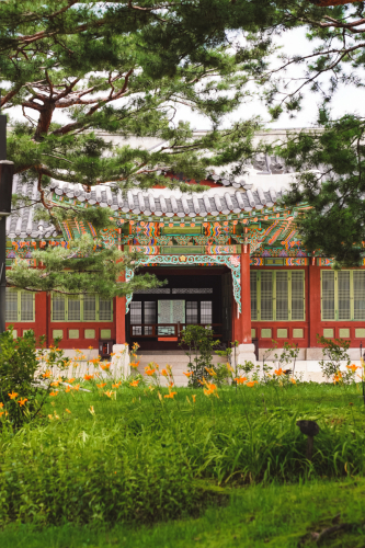 20230705-121618-changdeokgung-DSC04001