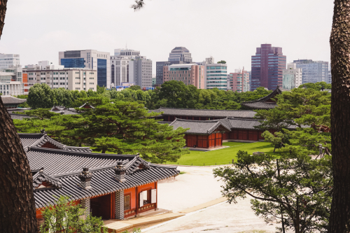 20230705-130959-changdeokgung-DSC04031