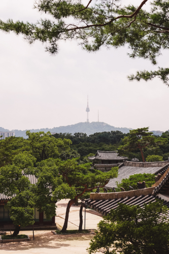 20230705-131022-changdeokgung-DSC04033