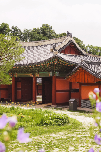 20230705-135116-changdeokgung-DSC04084