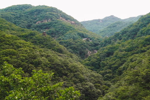 20230708-083916-dmz-DSC04442