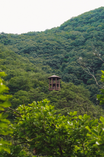 20230708-084341-dmz-DSC04453