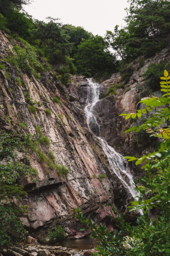 20230708-084822-dmz-DSC04456