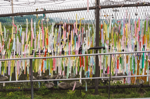 20230708-101735-dmz-DSC04474
