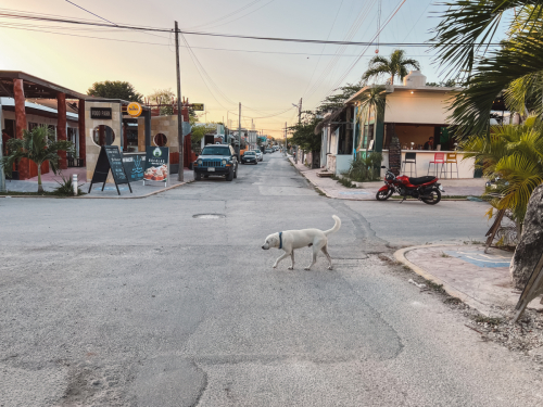 bacalar-23012023-IMG_6215